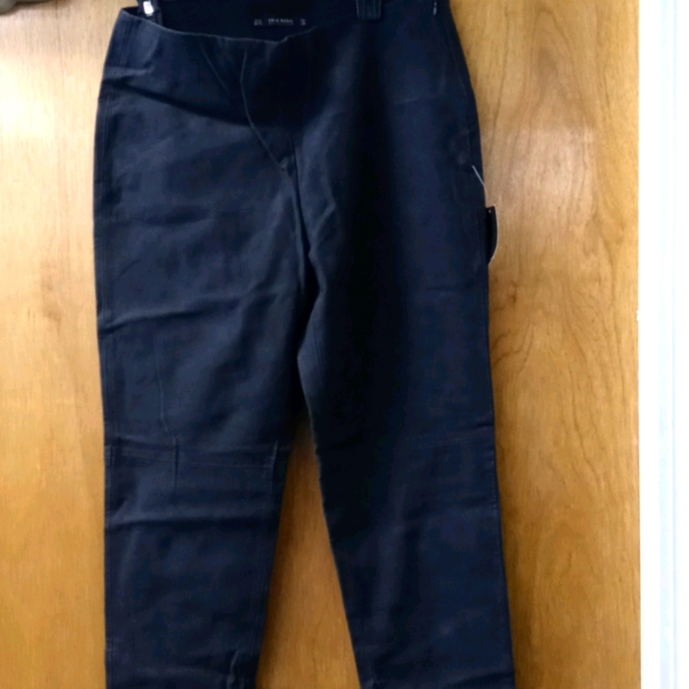 Faux sueded leather pull-on pants